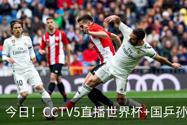 今日！CCTV5直播世界杯+国乒孙颖莎冲击冠军+中国男篮，5+转温网