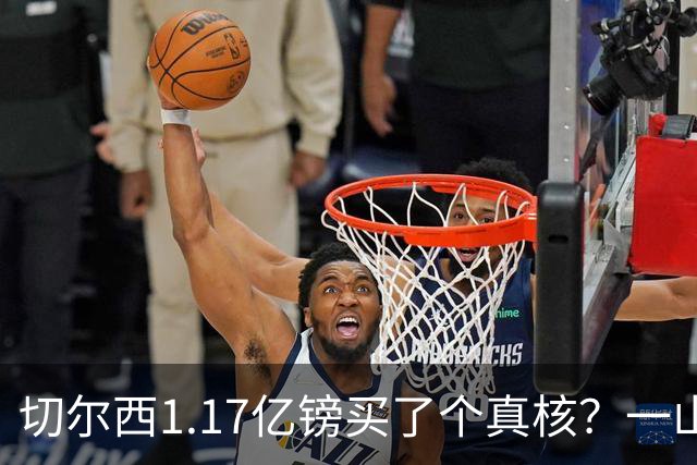 切尔西1.17亿镑买了个真核？一山难容二虎，罗杰斯会水吗？