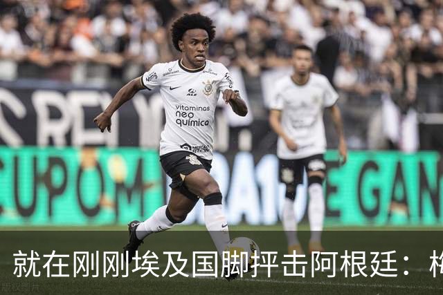 就在刚刚埃及国脚抨击阿根廷：梅西只是平常球员并非球王，他默认了不公正判罚