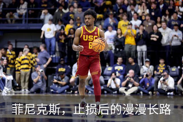 菲尼克斯，止损后的漫漫长路